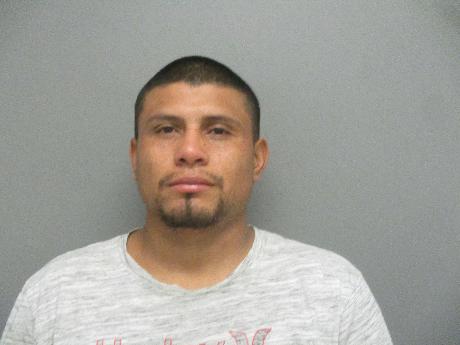 Marvin Hernandez-Velasquez