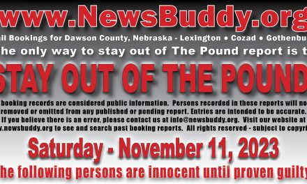 November 11