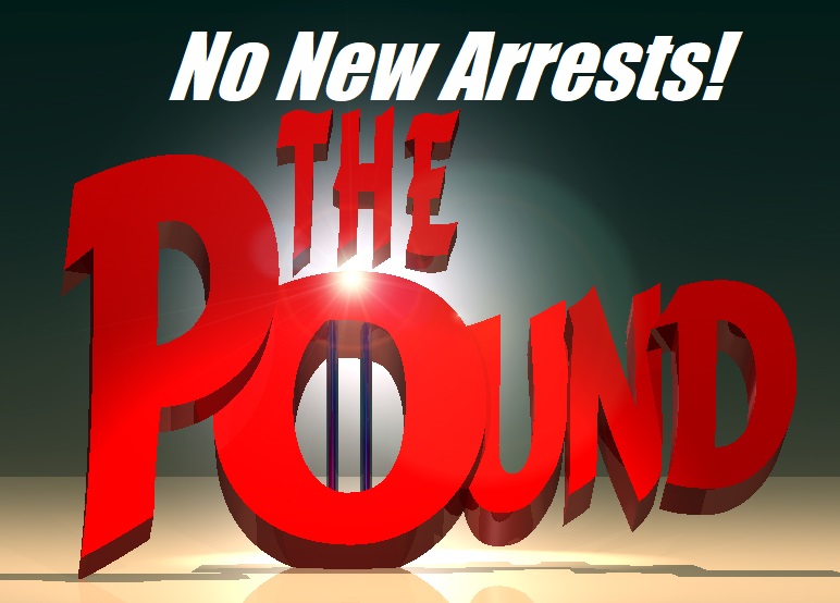 No New Arrests